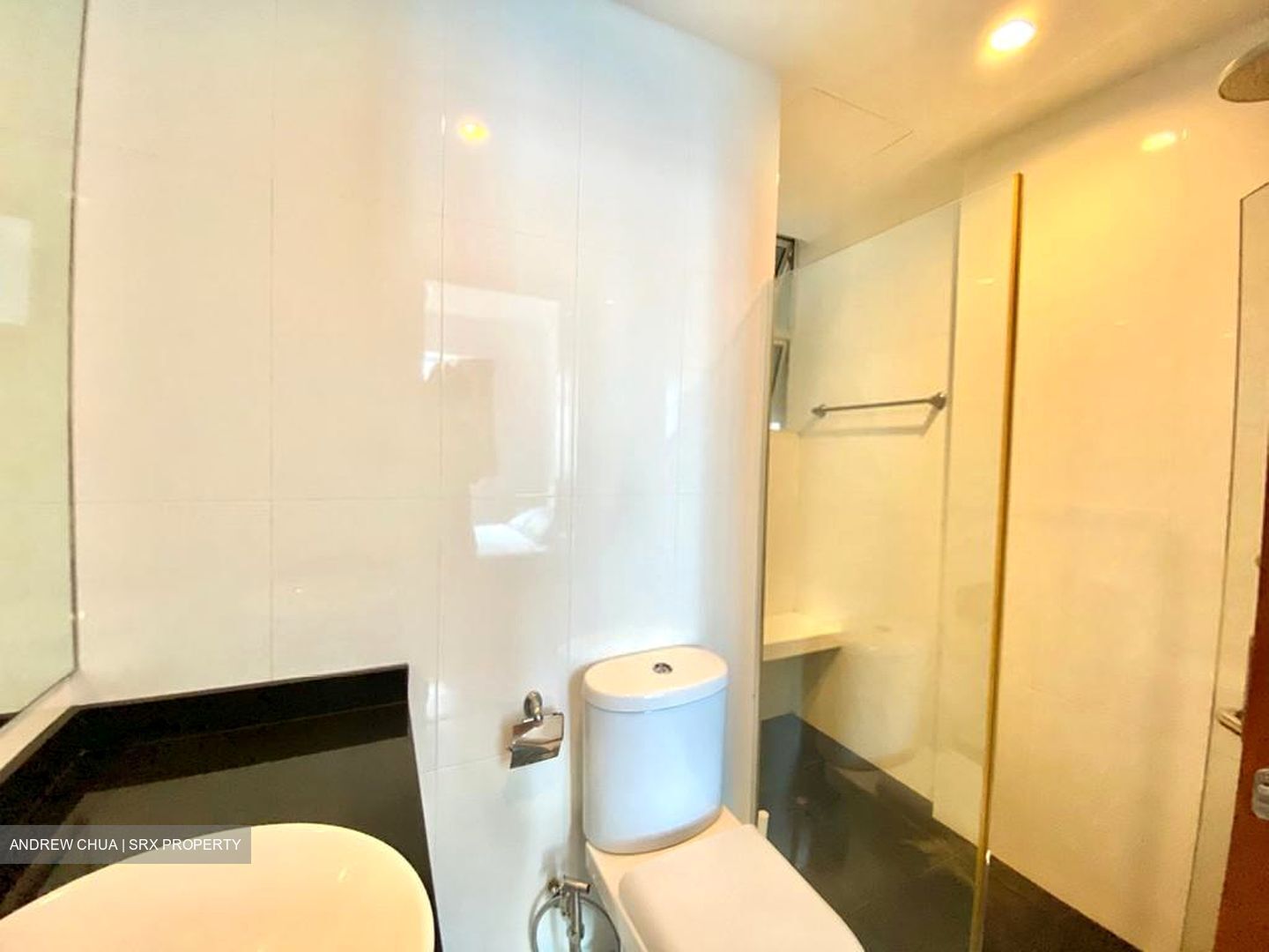 Goldhill Rise (D11), Condominium #590820201
